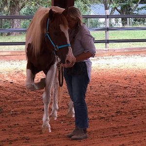Meet your Posher, Robin